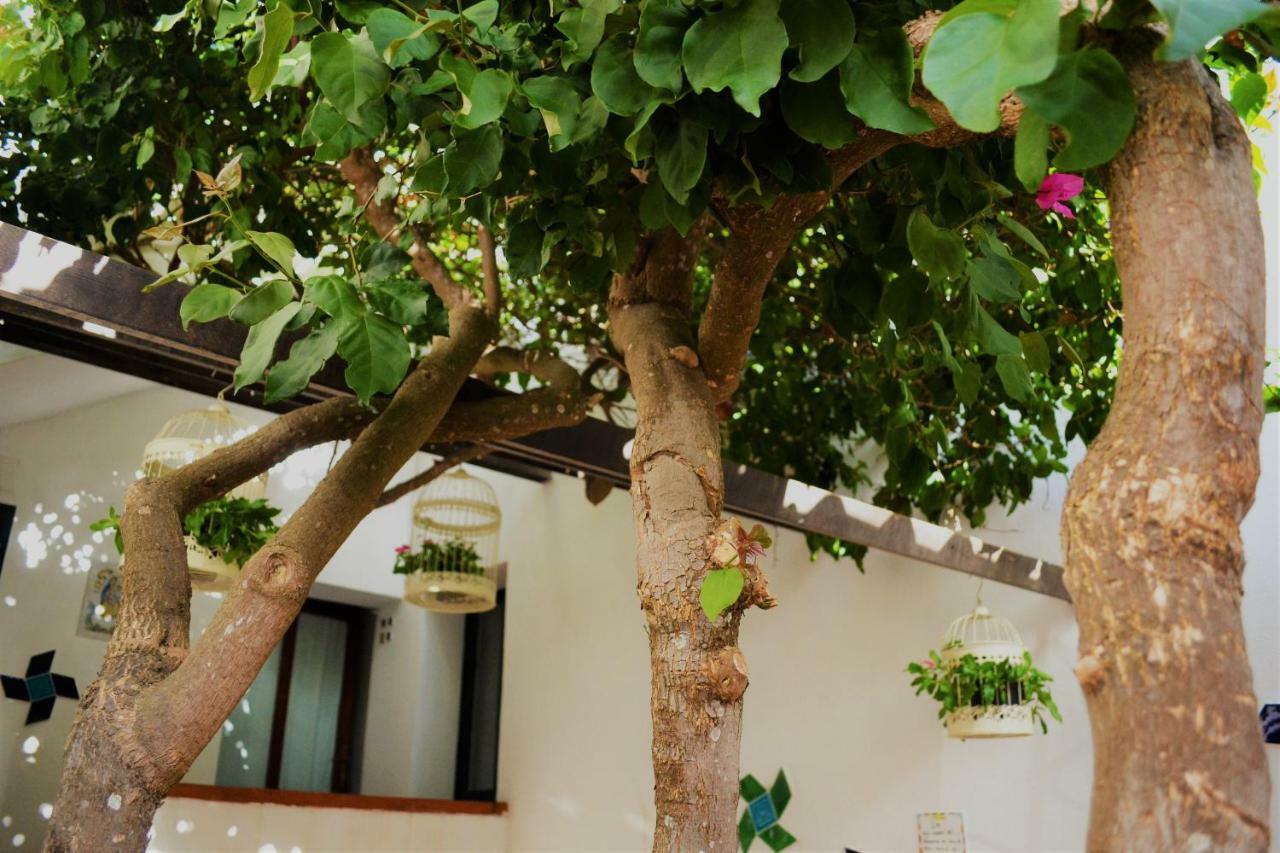 Casa Gandamar B&B Santa Teresa Gallura Eksteriør billede