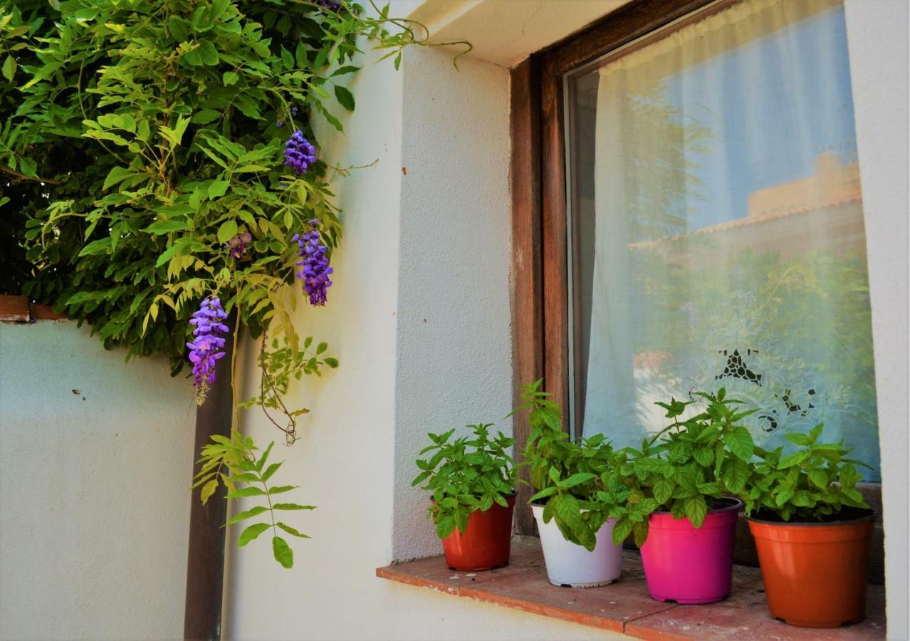 Casa Gandamar B&B Santa Teresa Gallura Eksteriør billede