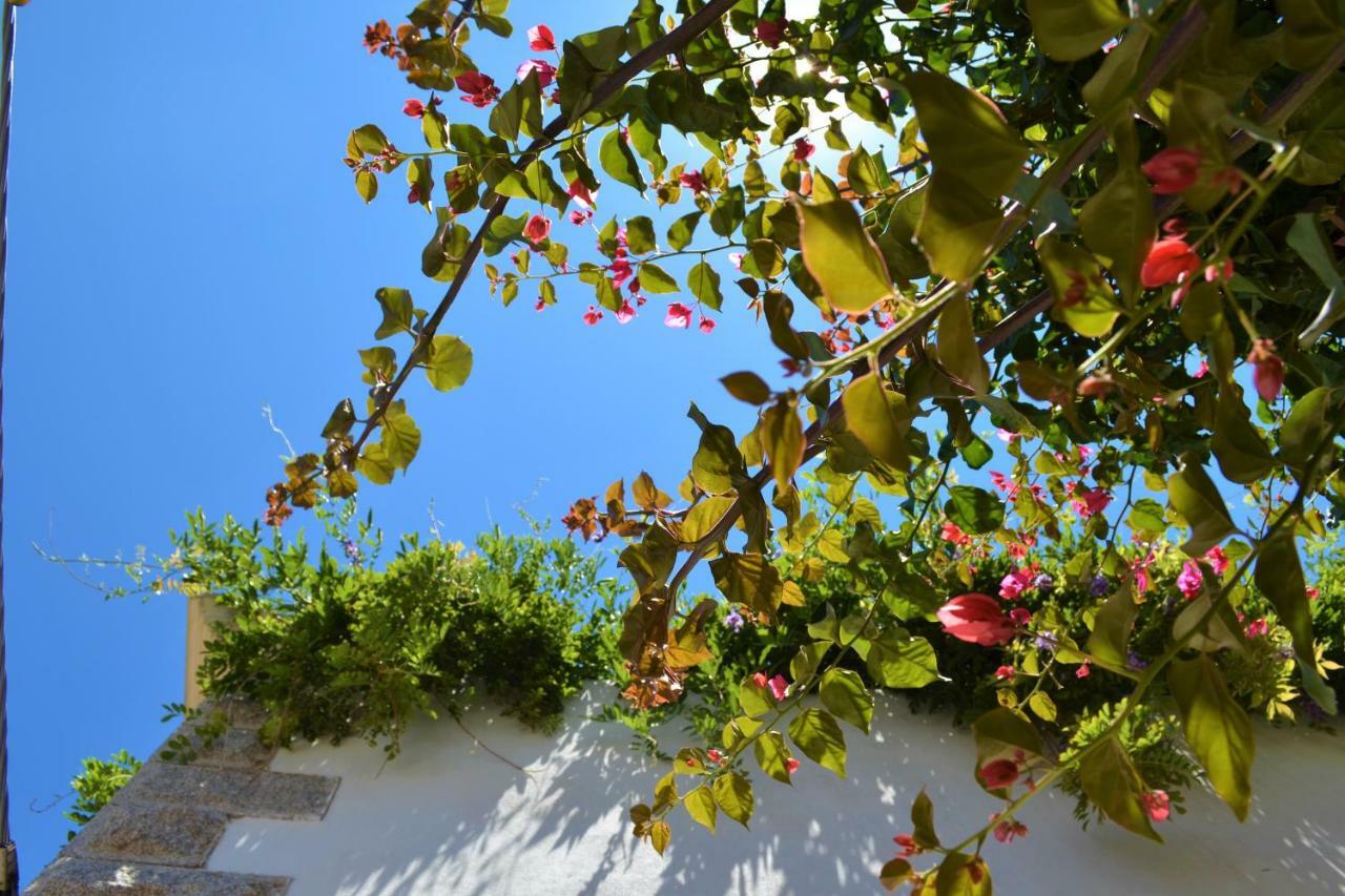 Casa Gandamar B&B Santa Teresa Gallura Eksteriør billede